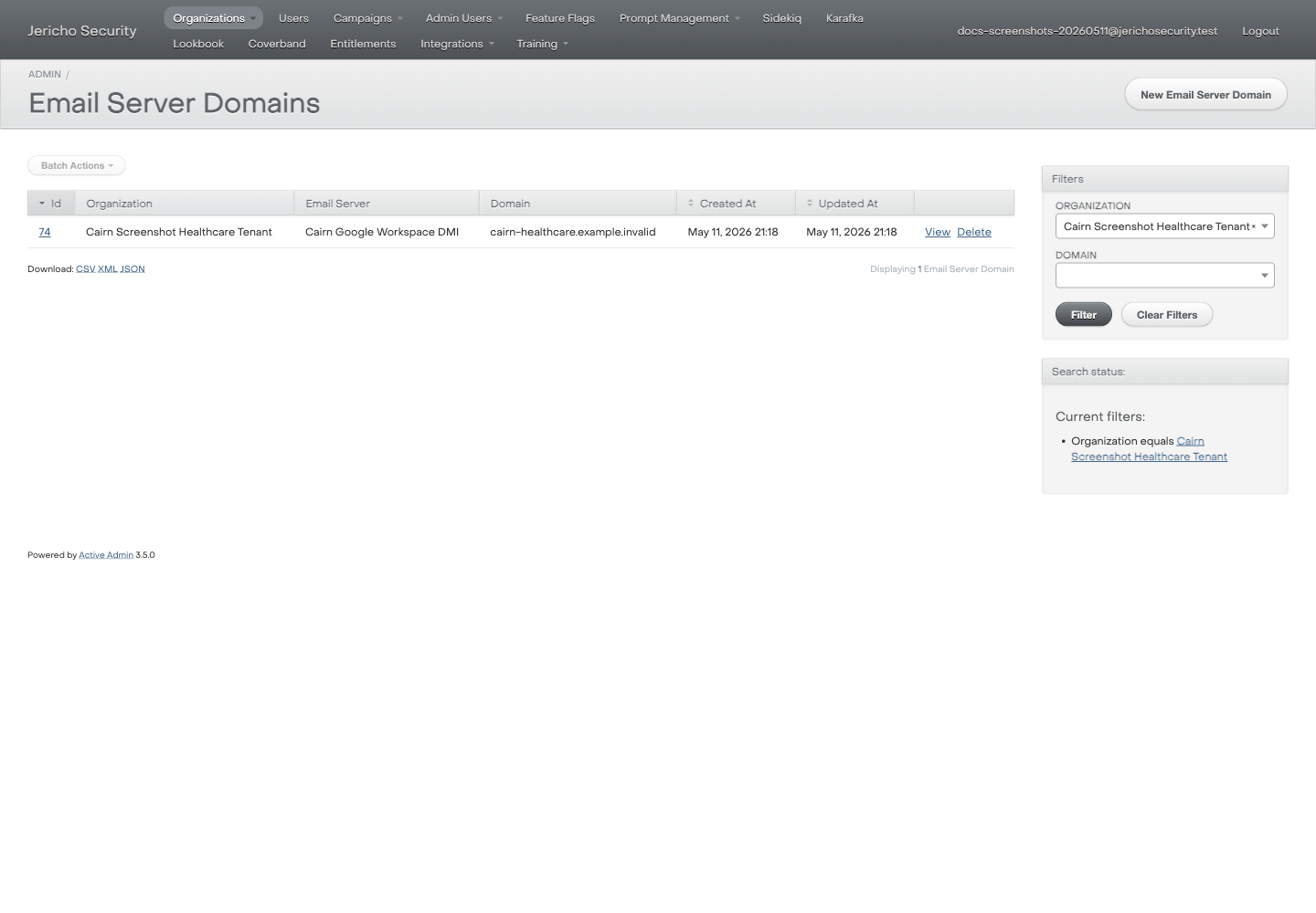 ActiveAdmin Email Server Domains list showing a synthetic Google Workspace DMI server associated with a verified customer domain.